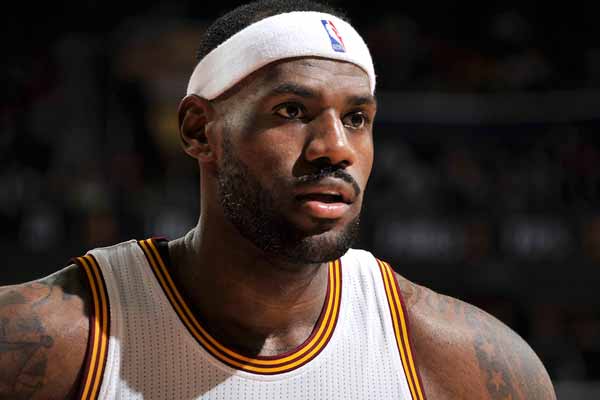 迎来本年度 迎来本年度